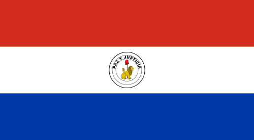 The reverse of the flag of Paraguay, showing the treasury seal with a lion and liberty cap