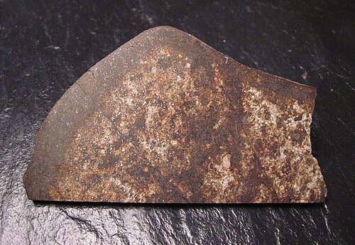 A cut and polished slice of the Tenham meteorite